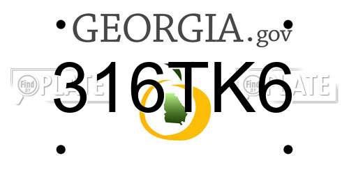 316TK6 Georgia License Plate