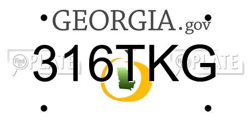 316TKG Georgia License Plate