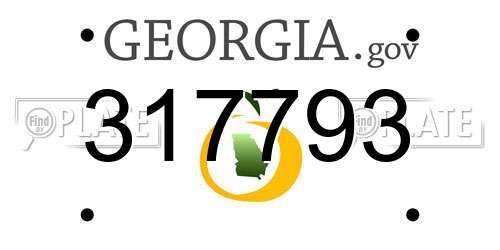 317793 Georgia License Plate