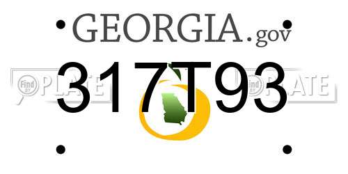 317T93 Georgia License Plate