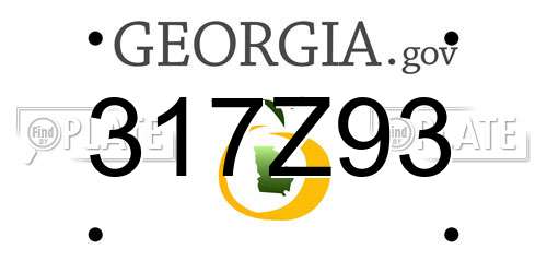 317Z93 Georgia License Plate