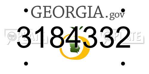 3184332 Georgia License Plate