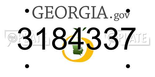 3184337 Georgia License Plate