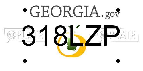 318LZP Georgia License Plate
