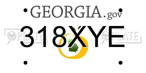 318XYE Georgia License Plate