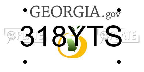 318YTS Georgia License Plate