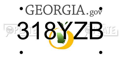 318YZB Georgia License Plate