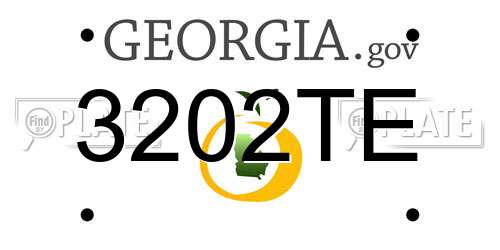 3202TE Georgia License Plate