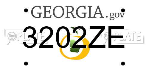 3202ZE Georgia License Plate