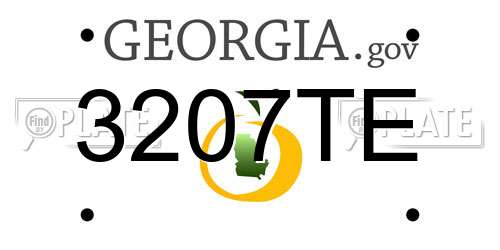 3207TE Georgia License Plate