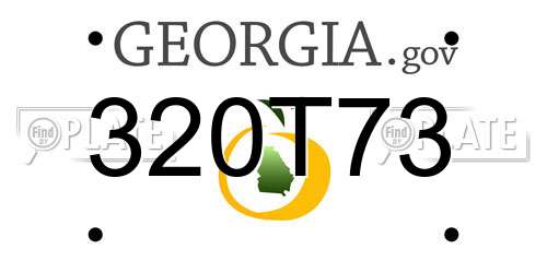 320T73 Georgia License Plate