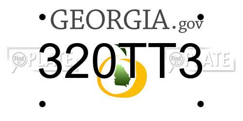 320TT3 Georgia License Plate