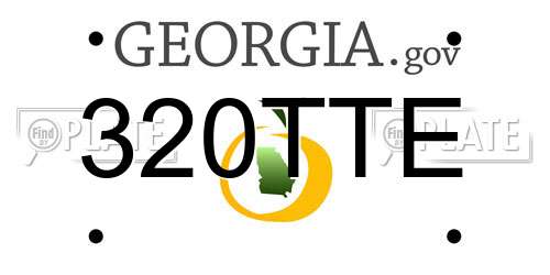 320TTE Georgia License Plate