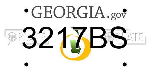 3217BS Georgia License Plate