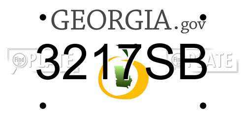 3217SB Georgia License Plate