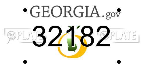 32182 Georgia License Plate