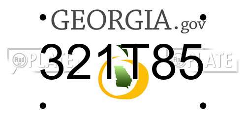 321T85 Georgia License Plate