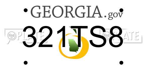 321TS8 Georgia License Plate