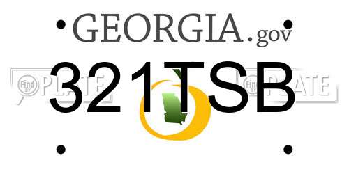 321TSB Georgia License Plate