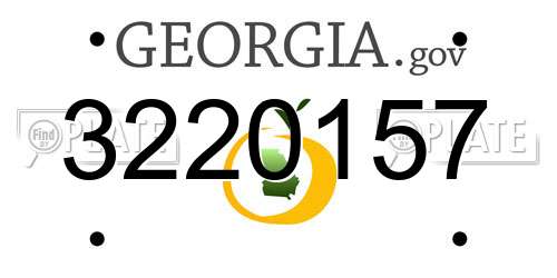 3220157 Georgia License Plate