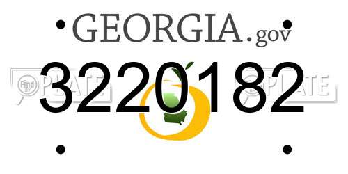 3220182 Georgia License Plate