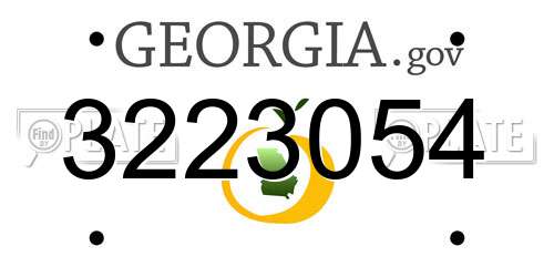 3223054 Georgia License Plate