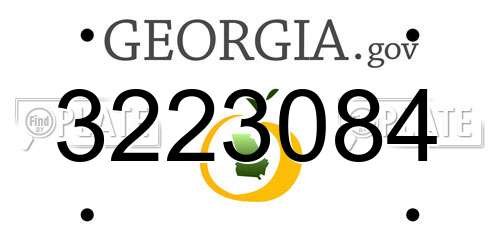 3223084 Georgia License Plate