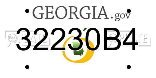 32230B4 Georgia License Plate