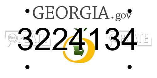 3224134 Georgia License Plate