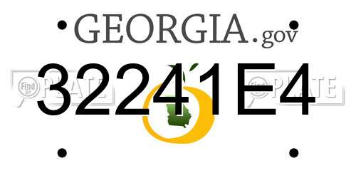 32241E4 Georgia License Plate
