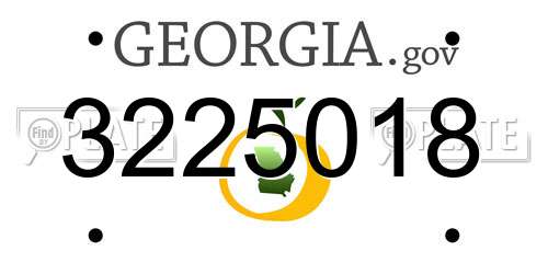 3225018 Georgia License Plate