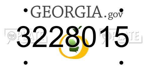 3228015 Georgia License Plate