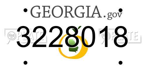 3228018 Georgia License Plate