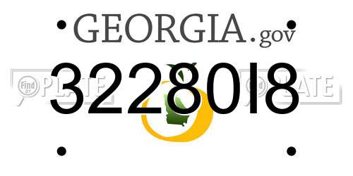 32280I8 Georgia License Plate
