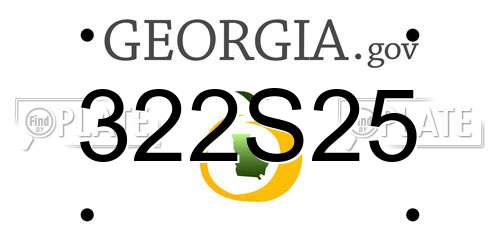 322S25 Georgia License Plate