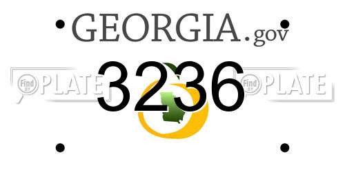 3236 Georgia License Plate