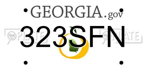 323SFN Georgia License Plate