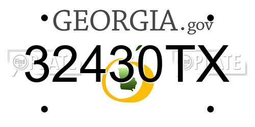 32430TX Georgia License Plate