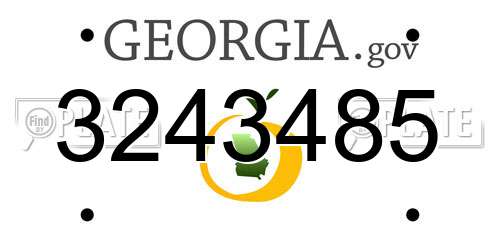 3243485 Georgia License Plate