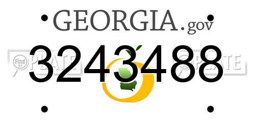 3243488 Georgia License Plate