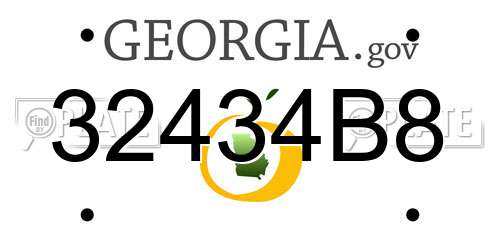 32434B8 Georgia License Plate