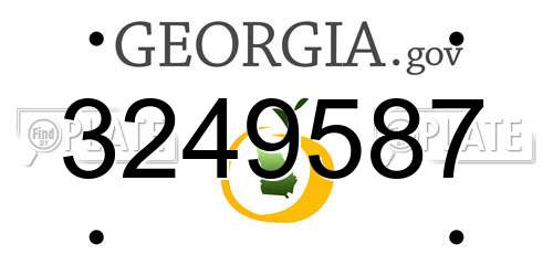 3249587 Georgia License Plate
