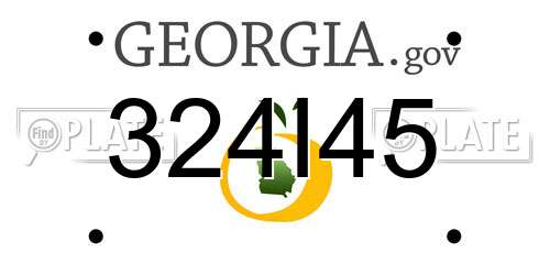 324I45 Georgia License Plate