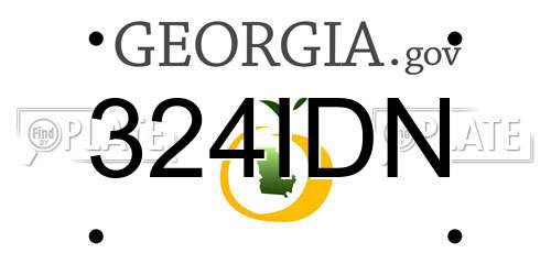 324IDN Georgia License Plate