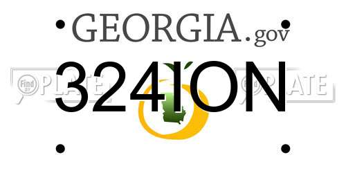 324ION Georgia License Plate