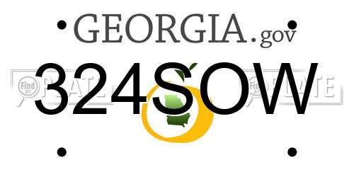 324SOW Georgia License Plate