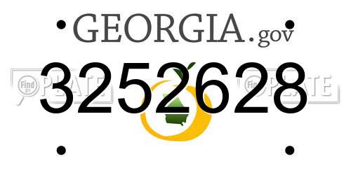 3252628 Georgia License Plate