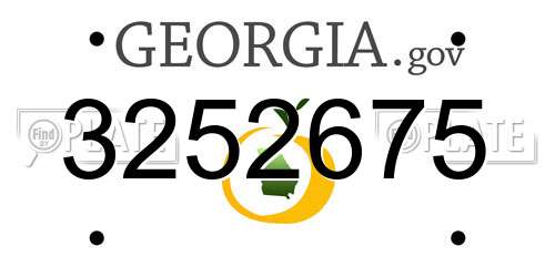 3252675 Georgia License Plate