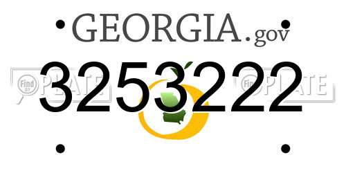 3253222 Georgia License Plate