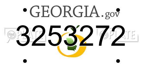 3253272 Georgia License Plate